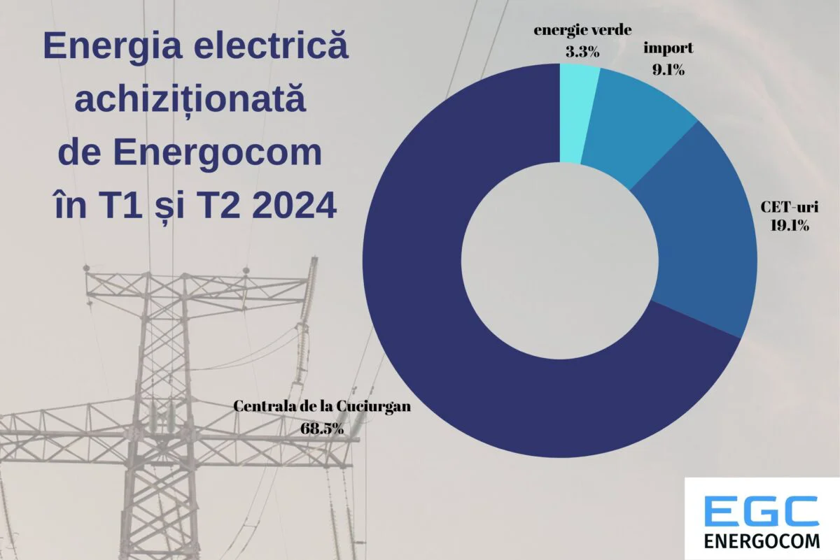 Energie electrică procurată