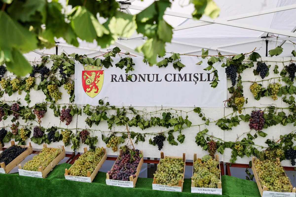 Sărbătoare la Cimișlia. Zeci de viticultori și-au etalat recolta la Festivalul Strugurelui