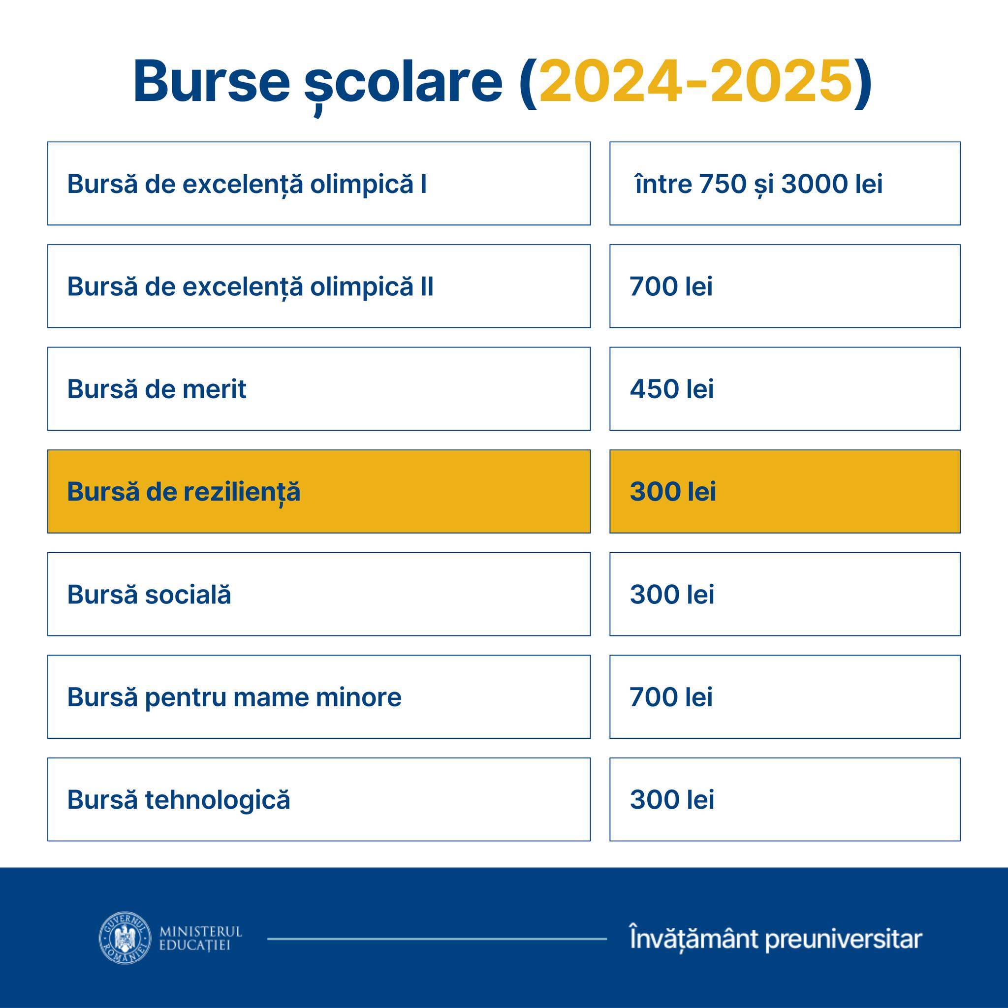 Bursă de reziliență