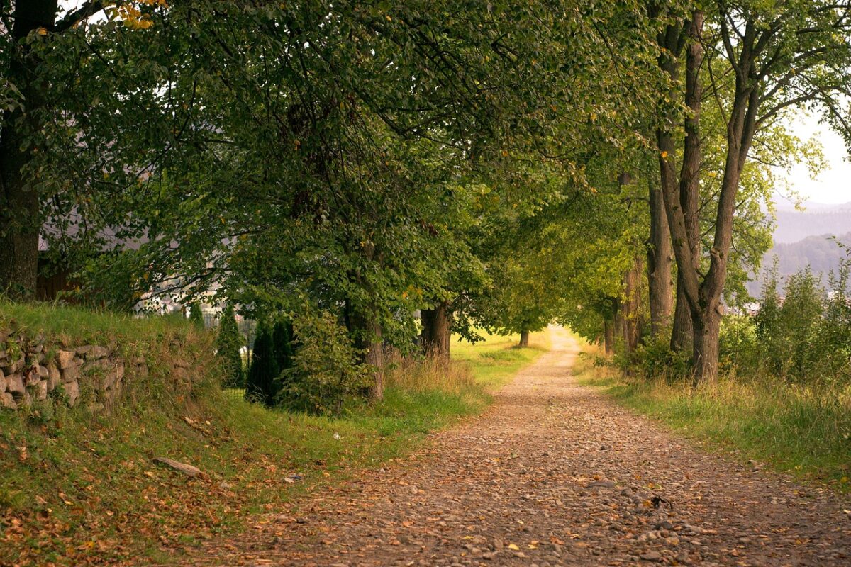 Temperaturi anormale în septembrie. Prognoza meteo, actualizată