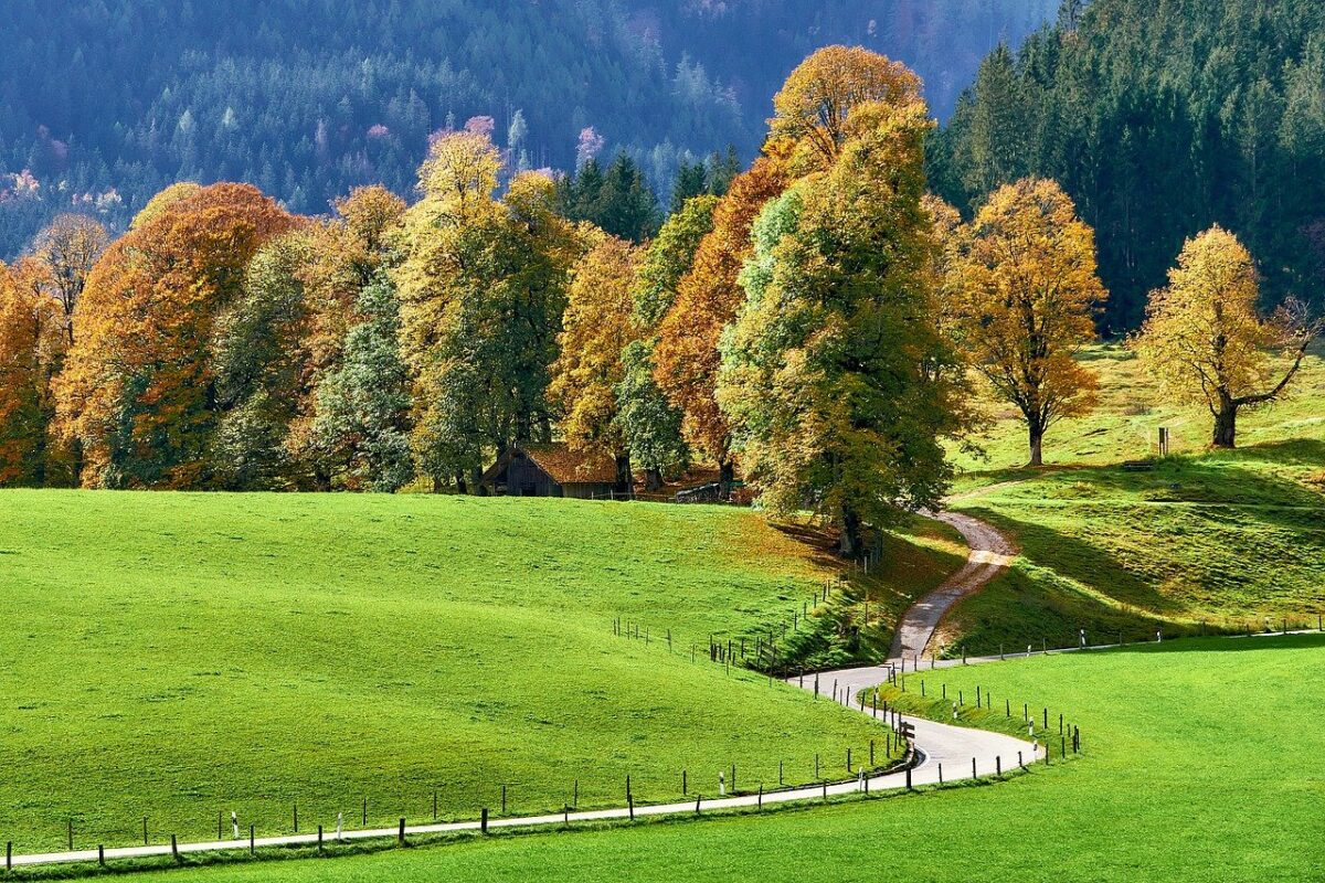 Prognoza meteo, 31 august. Zonele cu cele mai ridicate temperaturi, în ultima zi de vară