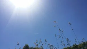 Vreme fără excese, la început de săptămână, în Republica Moldova