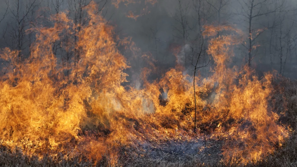 Incendiile din Turcia au dat peste cap planurile multor moldoveni. Guvernul a emis alertă de călătorie