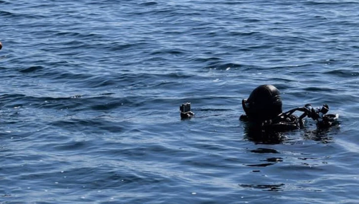 Meseriile care nu necesită diplomă de studii, dar se plătesc regește