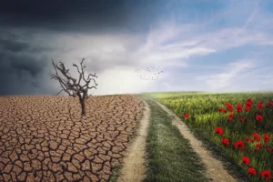 România, tot mai afectată de schimbările climatice. Fenomenele extreme care vor deveni obișnuință