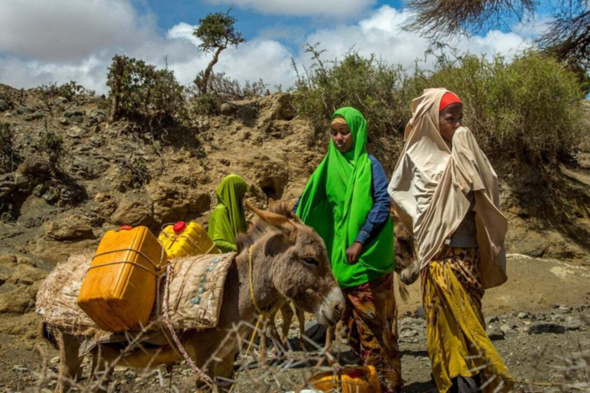 Goana după petrol. Planurile Turciei în Somalia, o țară decimată de foame