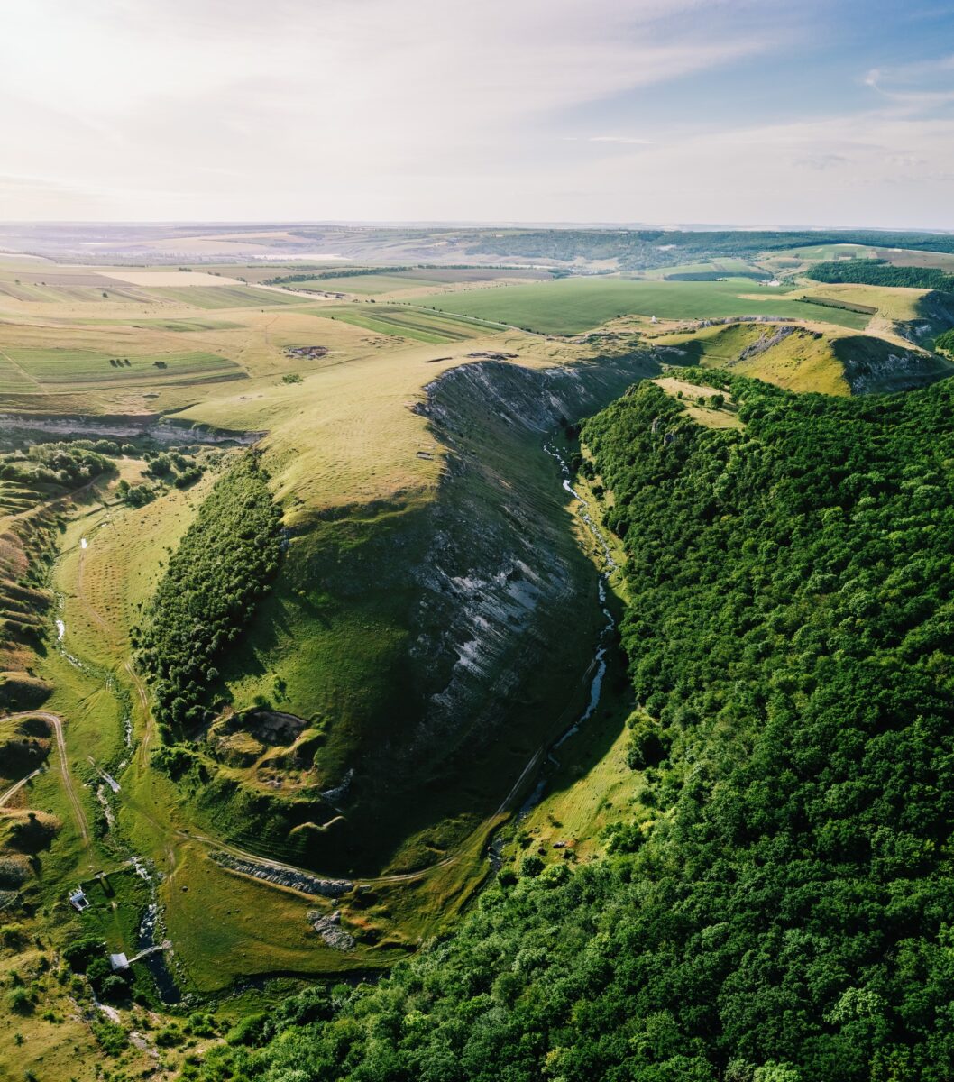 Păduri