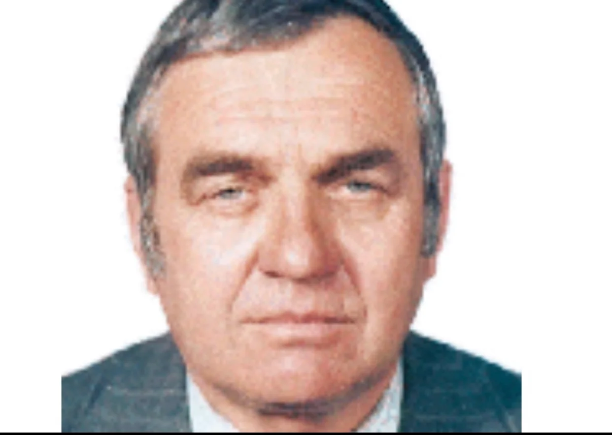 Dumitru Drăguț