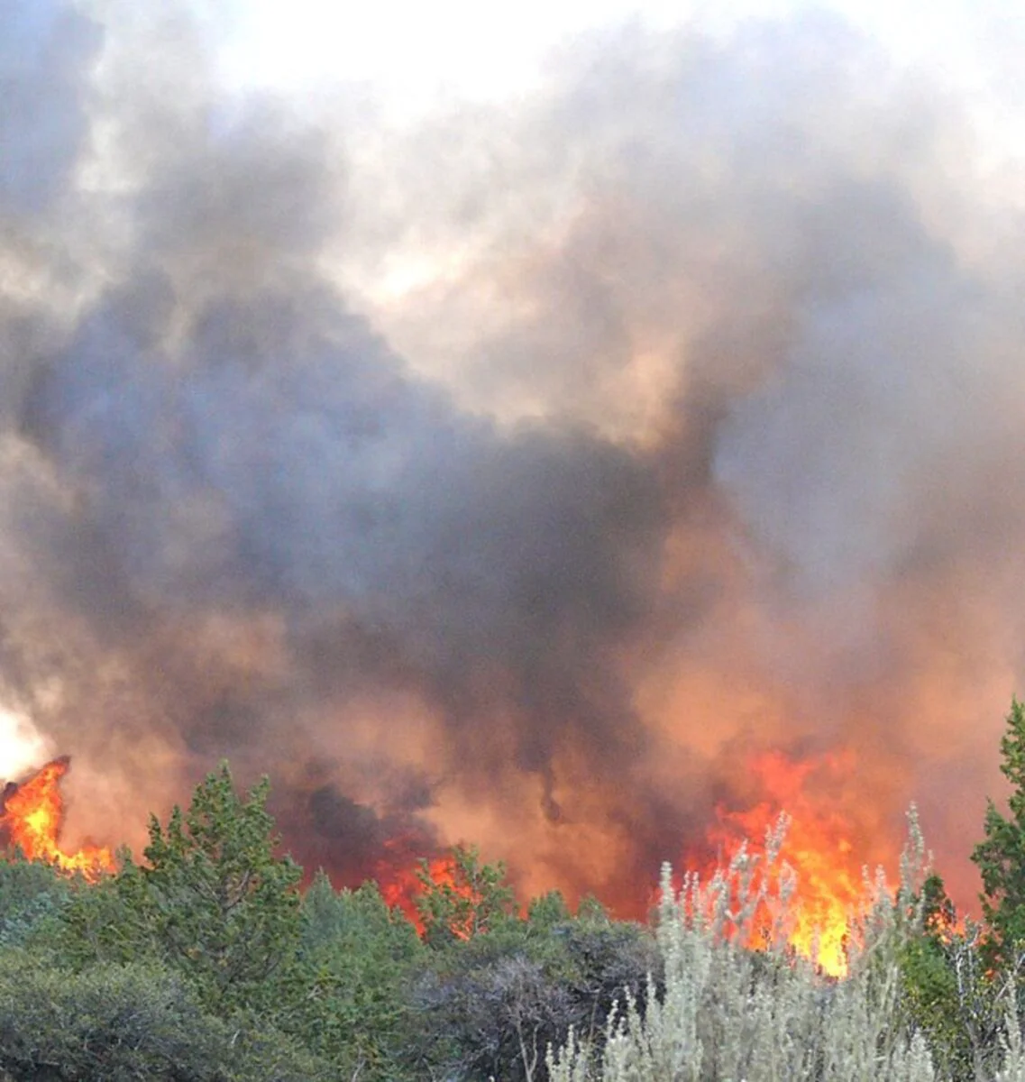 Grecia. Cine este femeia care a provocat incendii, pentru a flirta cu pompierii