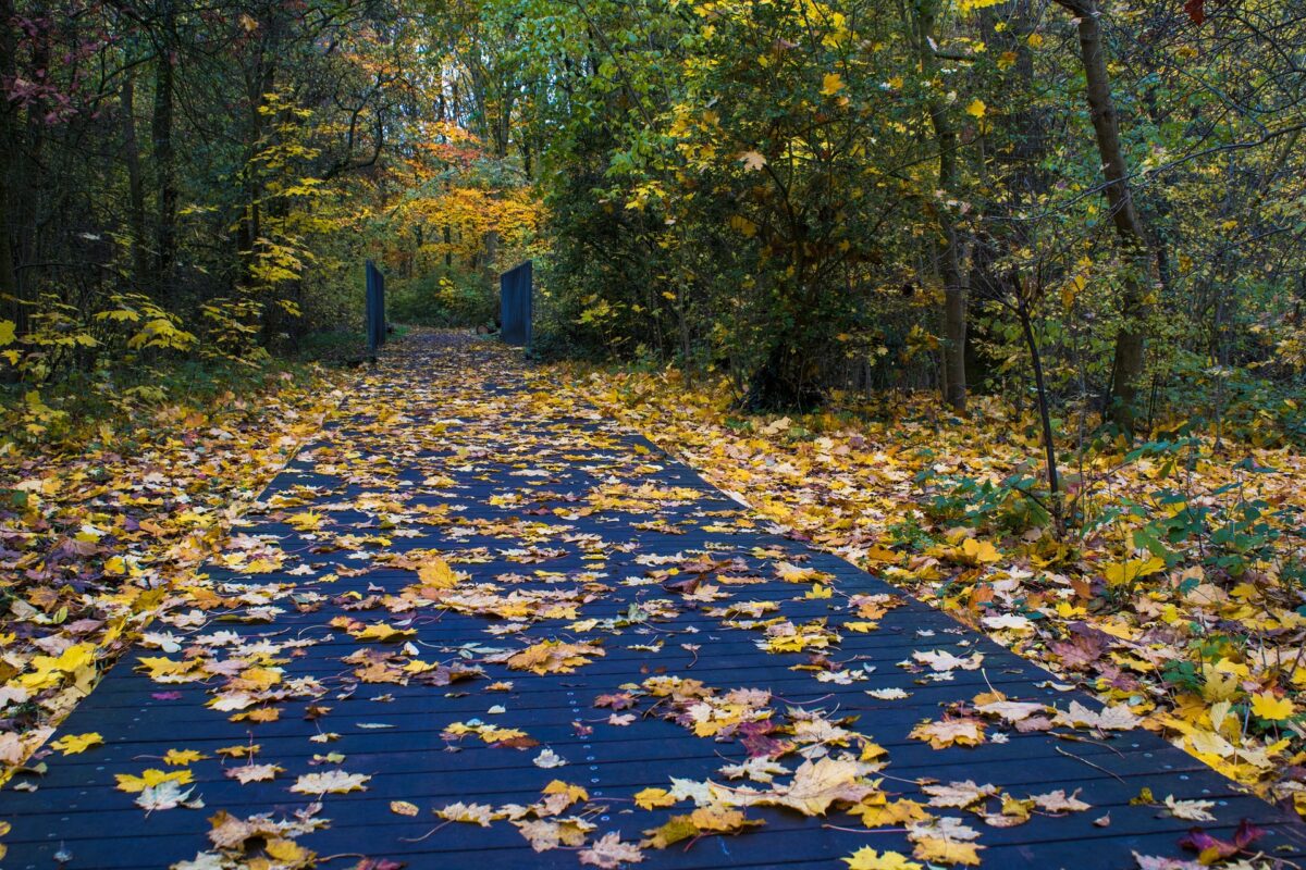 Vremea în primele două săptămâni din octombrie. Temperaturile pe regiuni