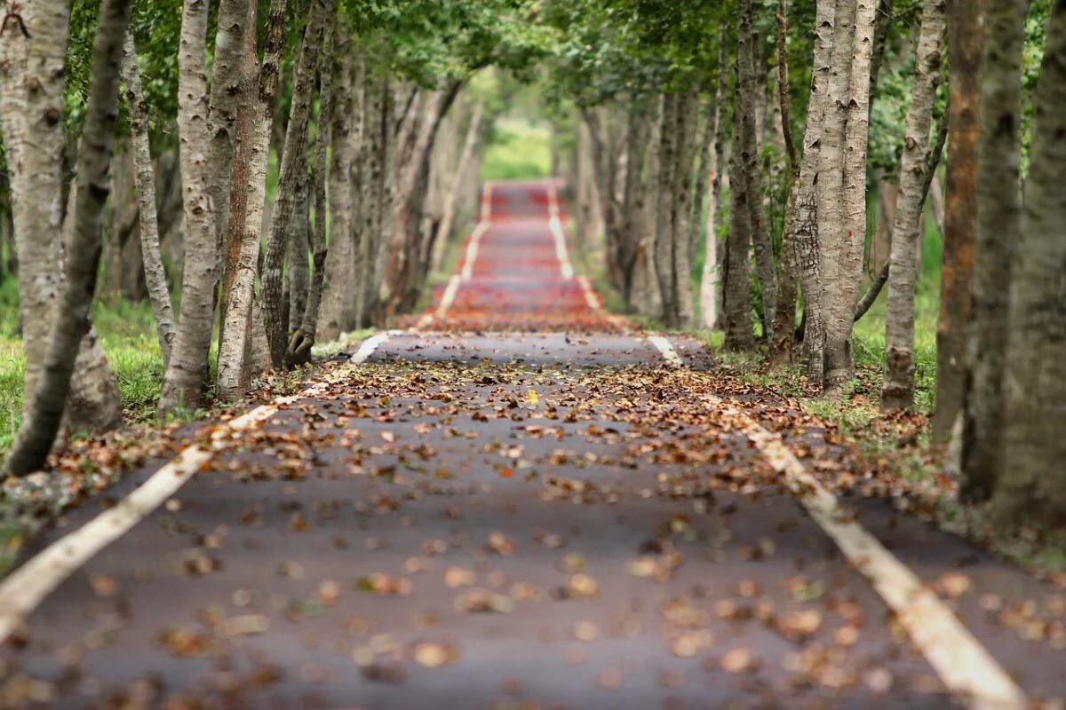 Prognoza meteo, 21 septembrie. Vreme frumoasă, cu maxime de 26 de grade Celsius