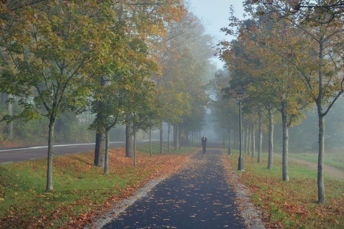 Prognoza meteo, 25 septembrie. Vreme instabilă cu vânt, ploi și vijelii