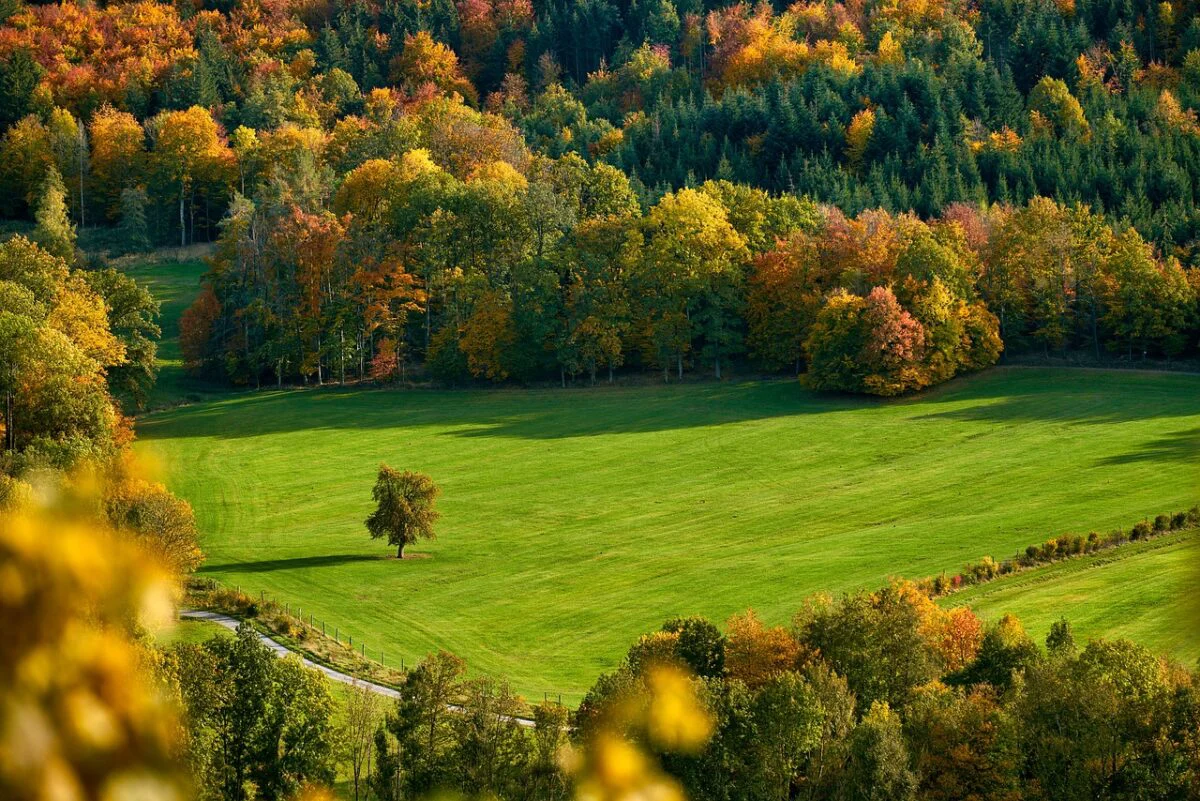 Temperaturi de vară, la final de septembrie. Prognoza meteo actualizată