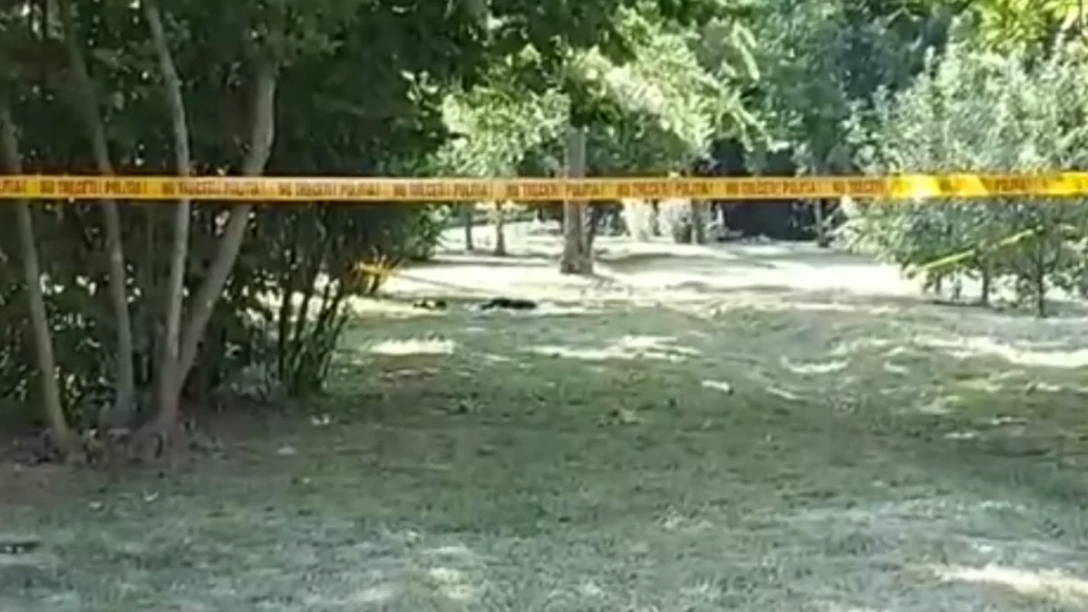 Criminalul din Grădina Botanică, condamnat la 15 ani de închisoare. Decizie finală