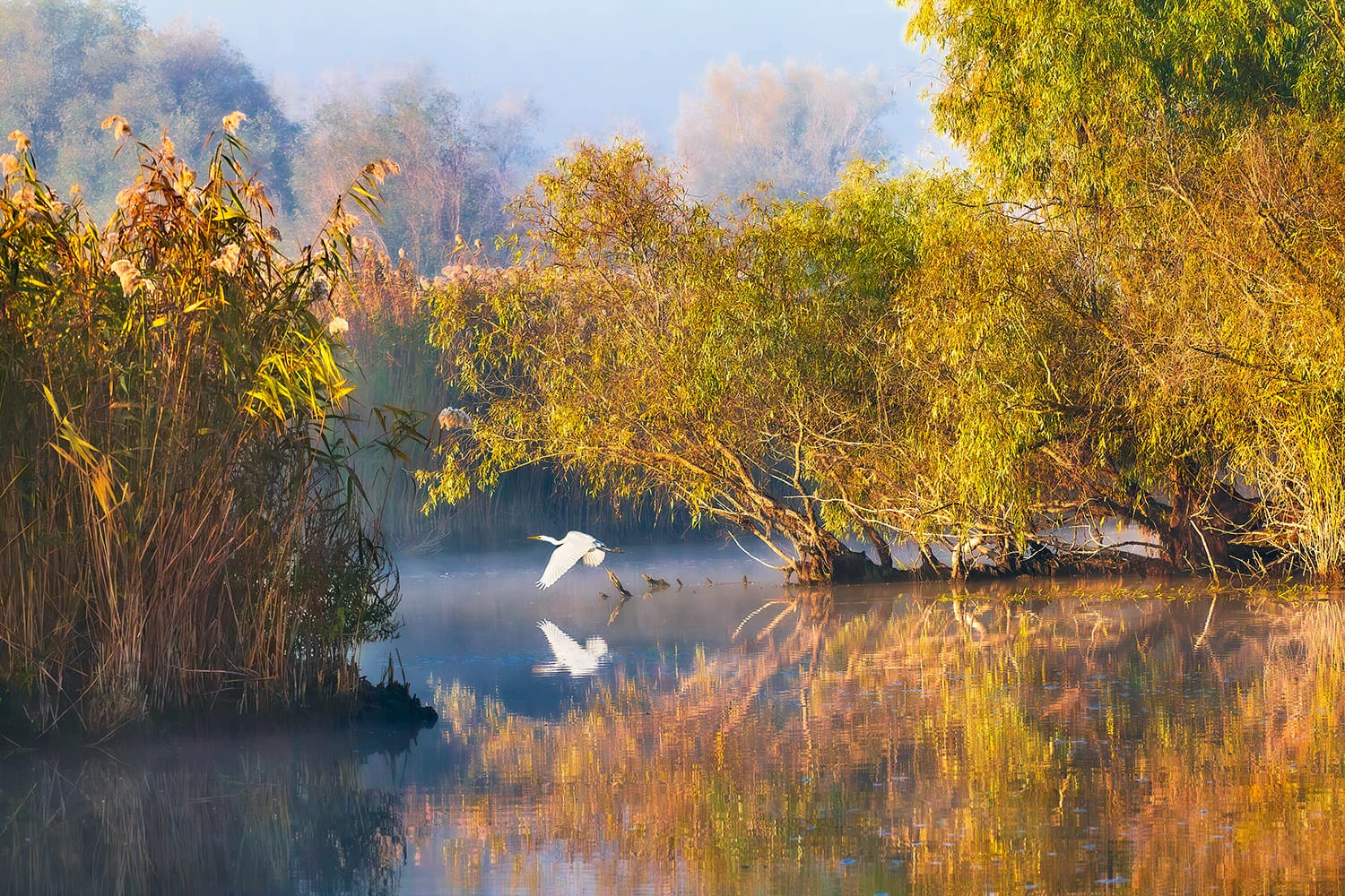 Delta Dunării