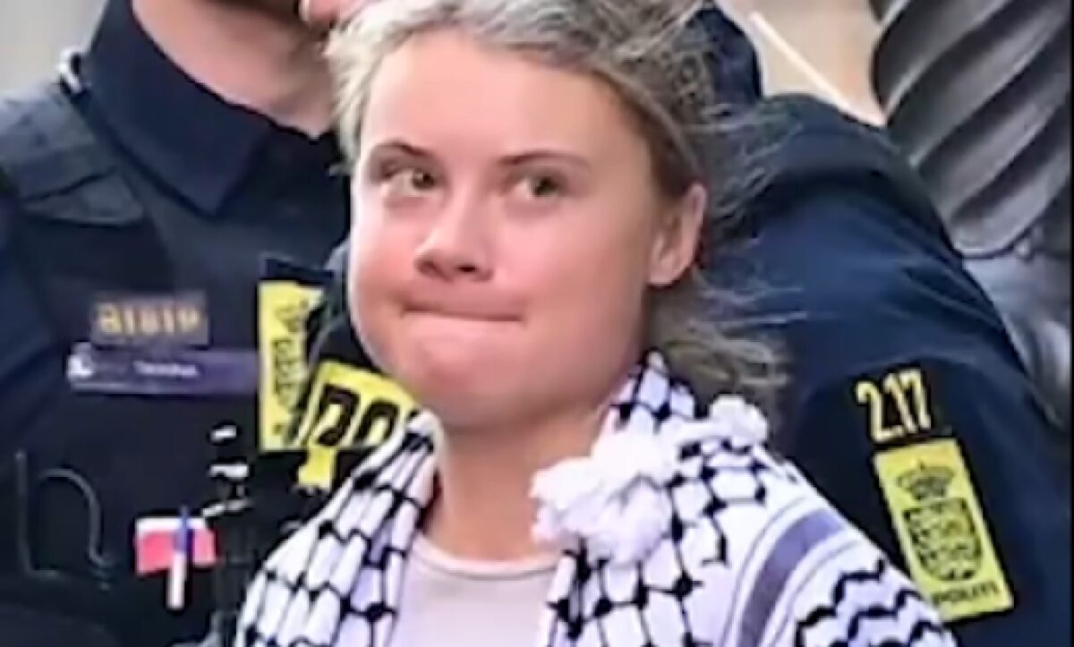 Greta Thunberg, arestată. Coordona un protest anti-Israel