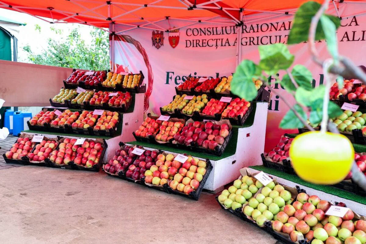 Orașul Soroca găzduiește Festivalul Național al Mărului. Sărbătoarea a adunat zeci de producători din toată țara