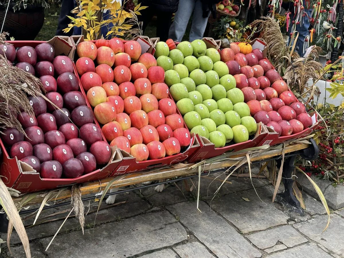 Festivalul Național al Mărului