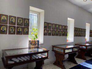 Cum vor arăta bibliotecile în viitor. Imaginea oferită de președintele Academiei Române