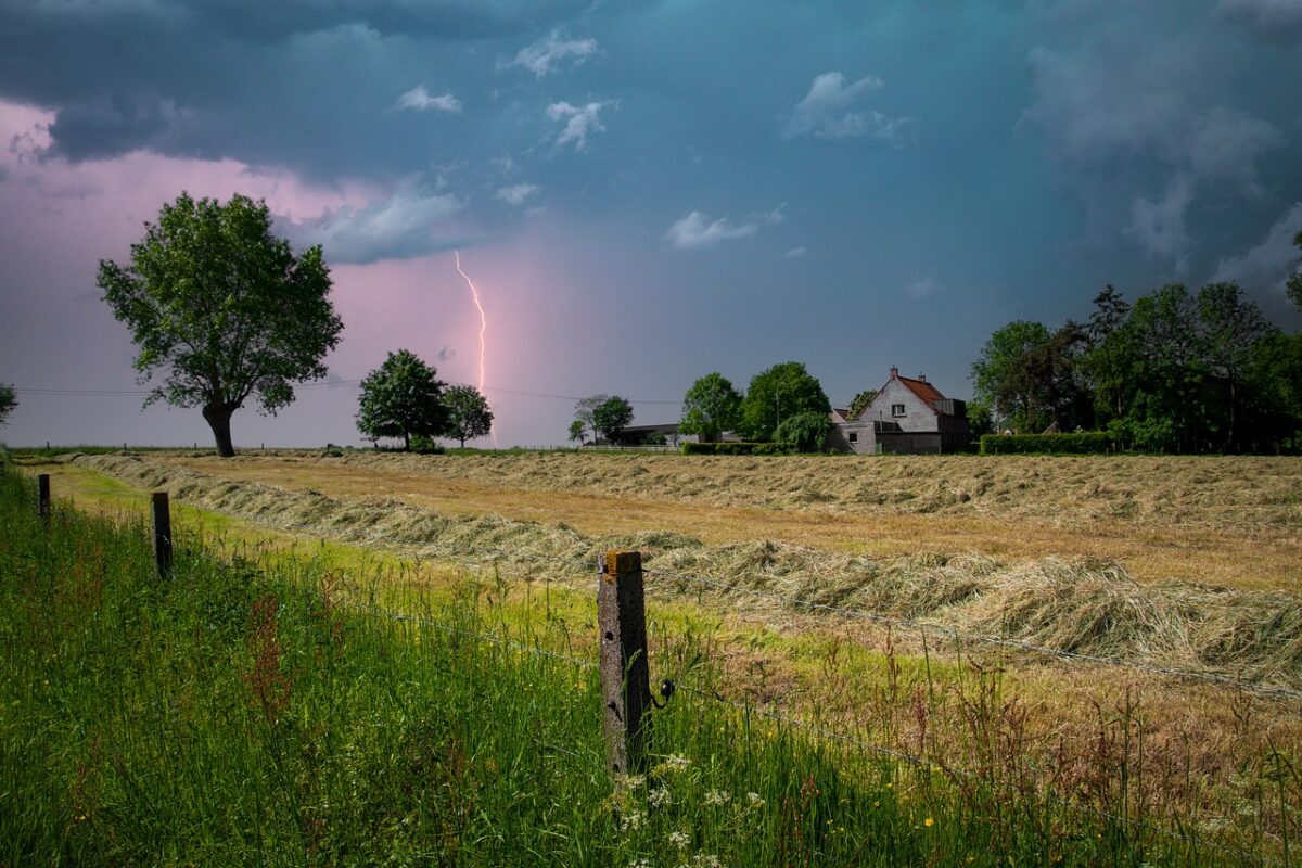 Cod portocaliu de ploi și vânt puternic. Zonele afectate. Prognoza meteo actualizată