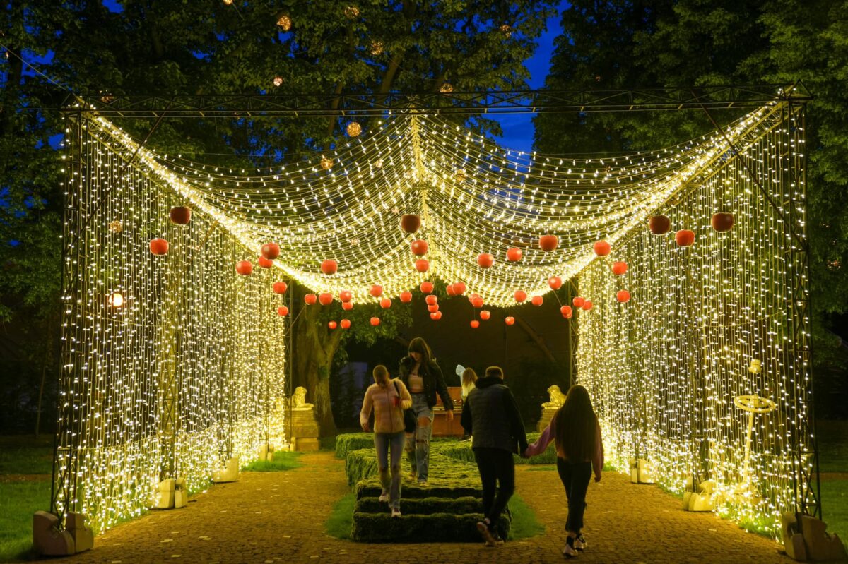 Orașul din România unde va zbura deasupra vizitatorilor sania trasă de reni cu Moș Crăciun. Foto