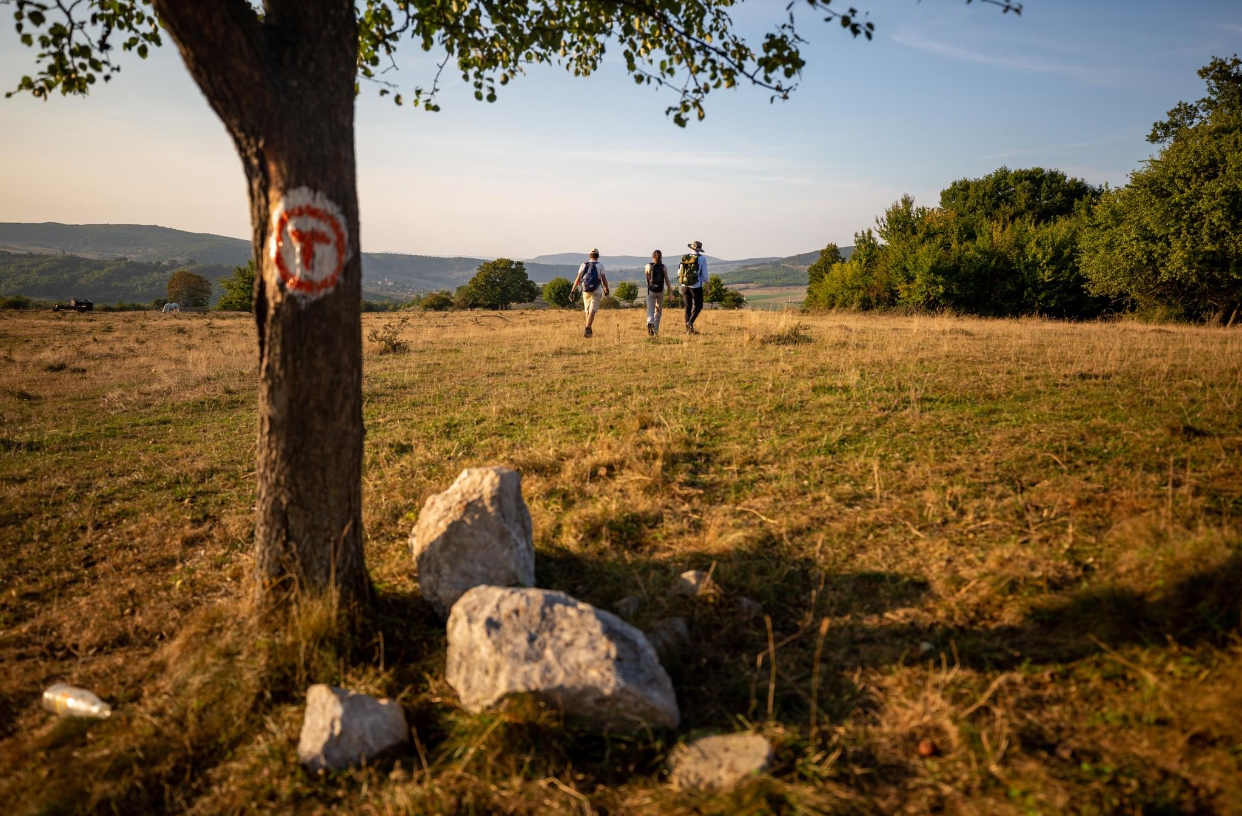 Via Transilvănica 