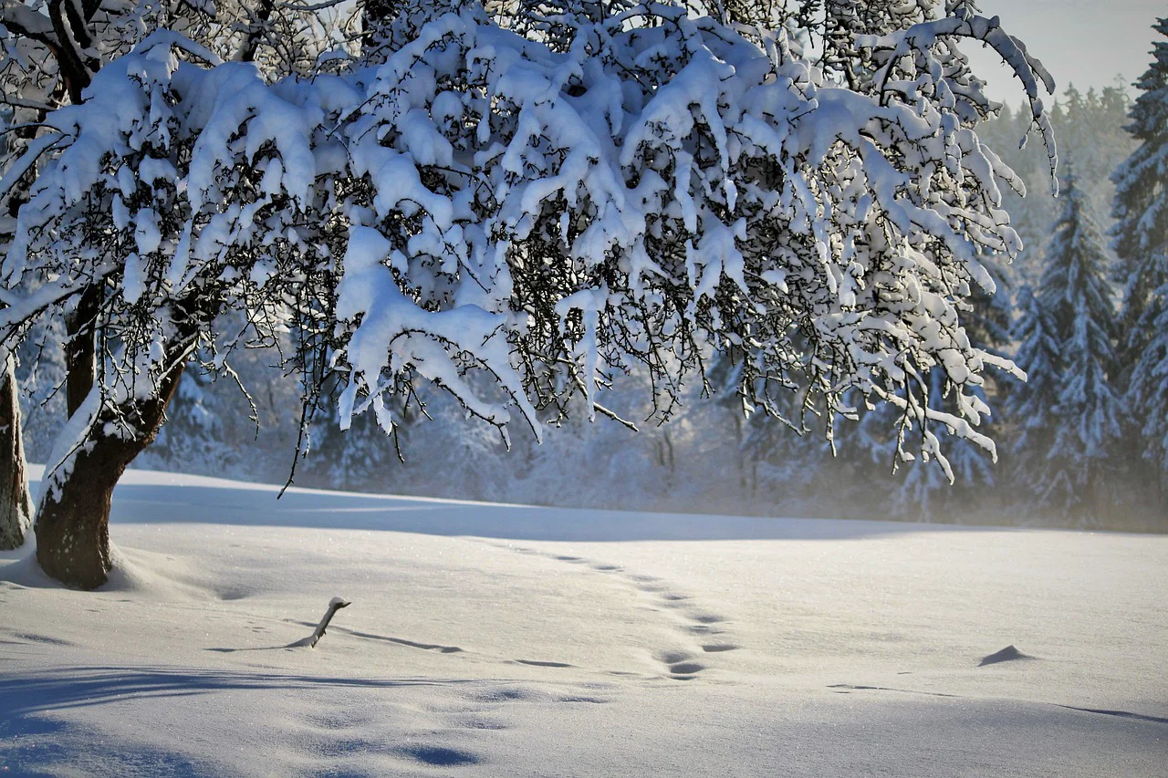 Prognoza meteo pentru Crăciun și Revelion