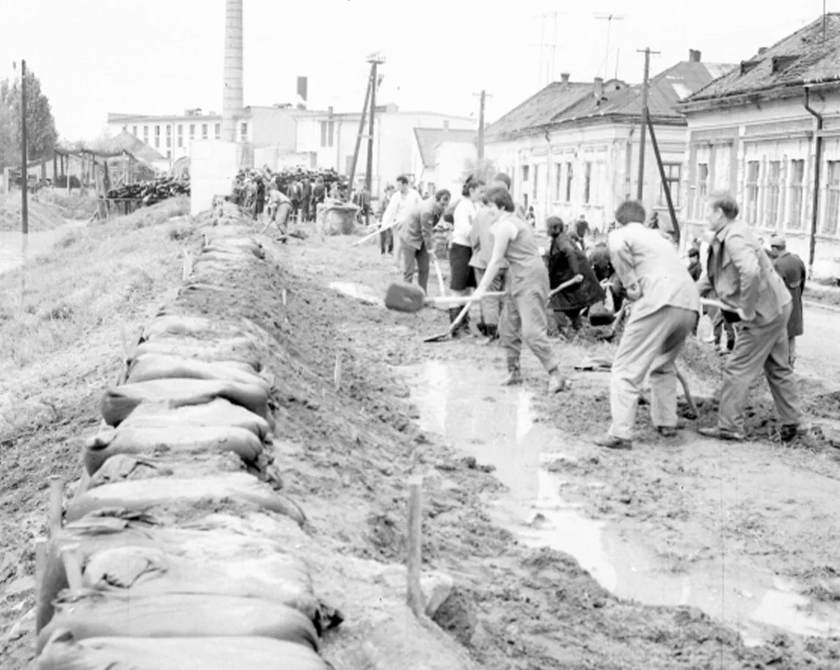 Inundații 1970, Satu Mare. Sursa foto: ziarul Scînteia