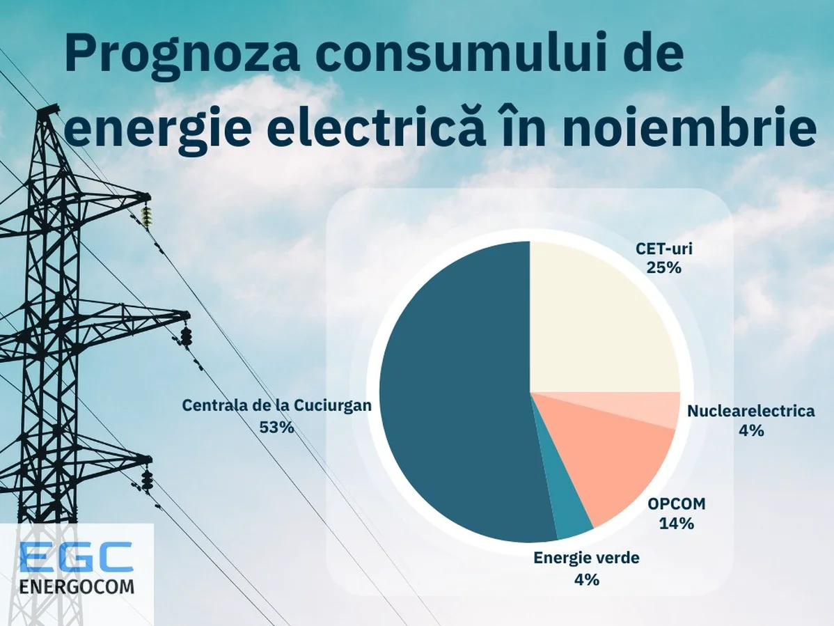 Achizițiile de energie electrică