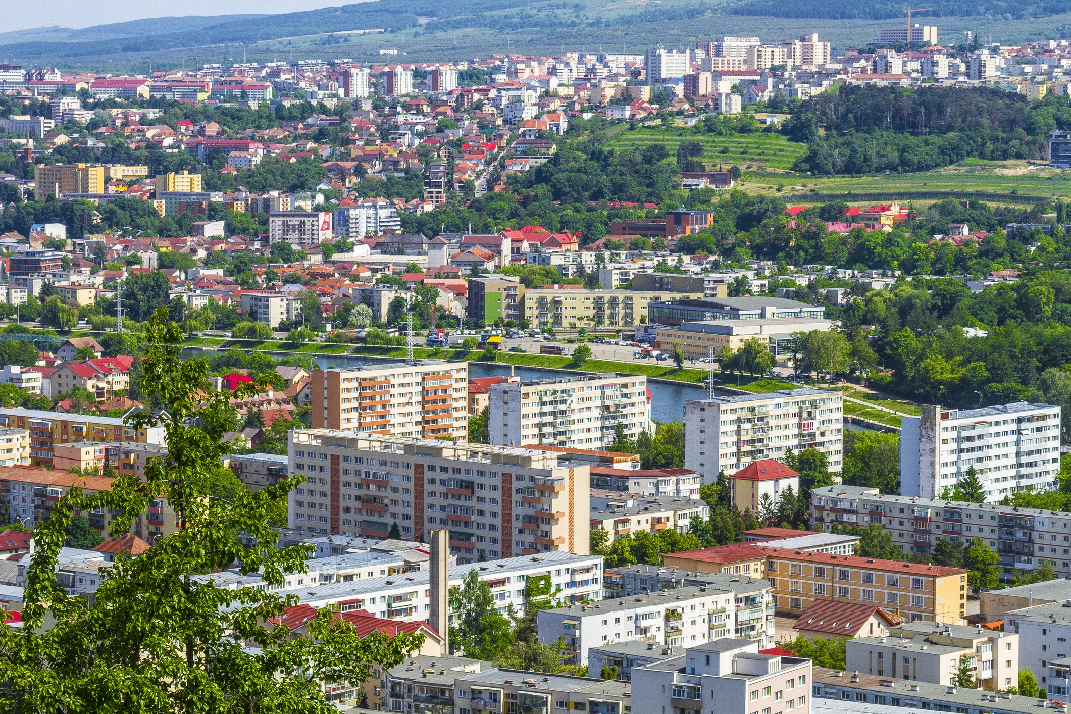 Cluj- Napoca