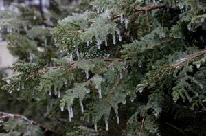 Prognoza meteo, 15 noiembrie. Începe să ningă serios în România. Zonele în care apar fulgii