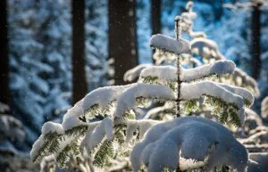 Prognoza meteo, 12 noiembrie. Iarna se manifestă mai devreme decât ar fi normal. Fenomene extreme în România