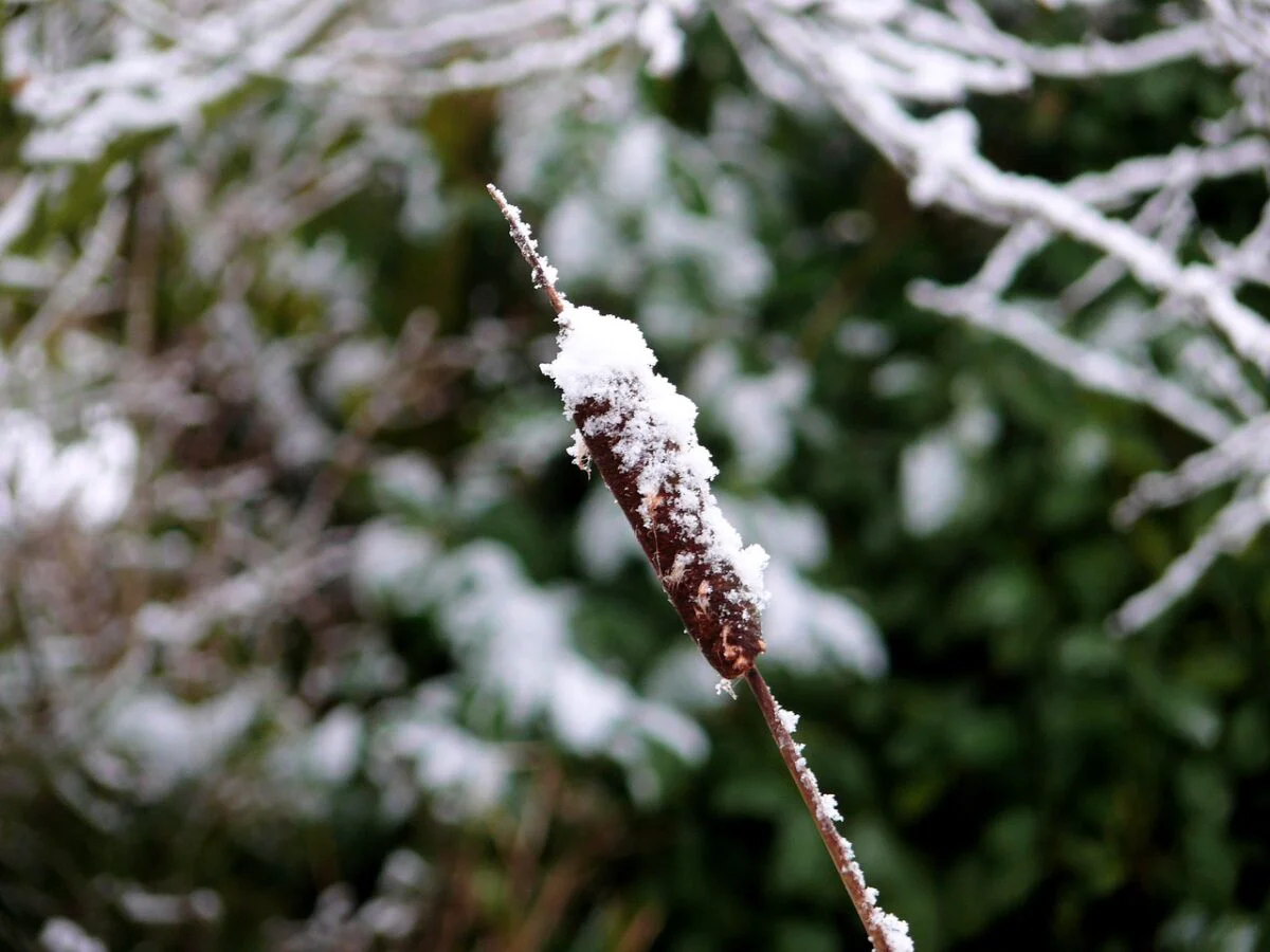 Prognoza meteo, 2 decembrie. Temperaturile se mențin scăzute în toată țara