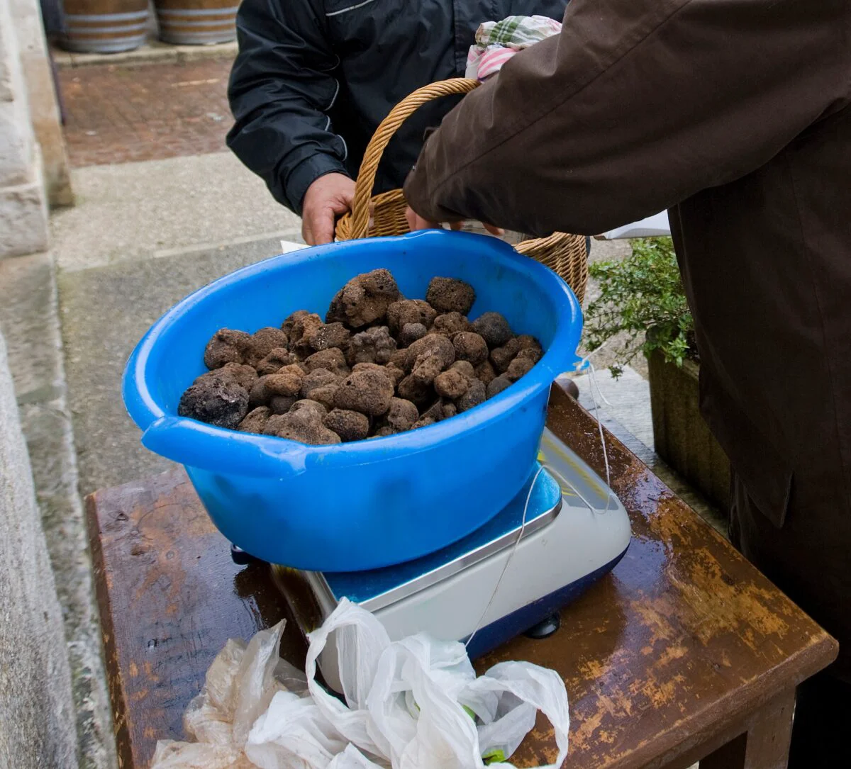 O delicatesă pe care puțini români și-o permit e pe cale de dispariție