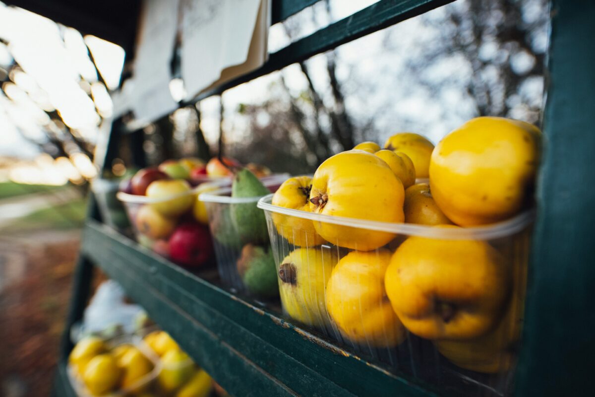 Antioxidanții din mere și gutui: armele tale secrete împotriva răcelilor de sezon