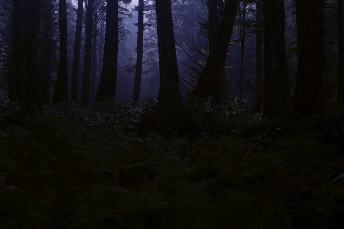 Cel mai îngrozitor film din istorie. Scene sinistre și atacuri feroce