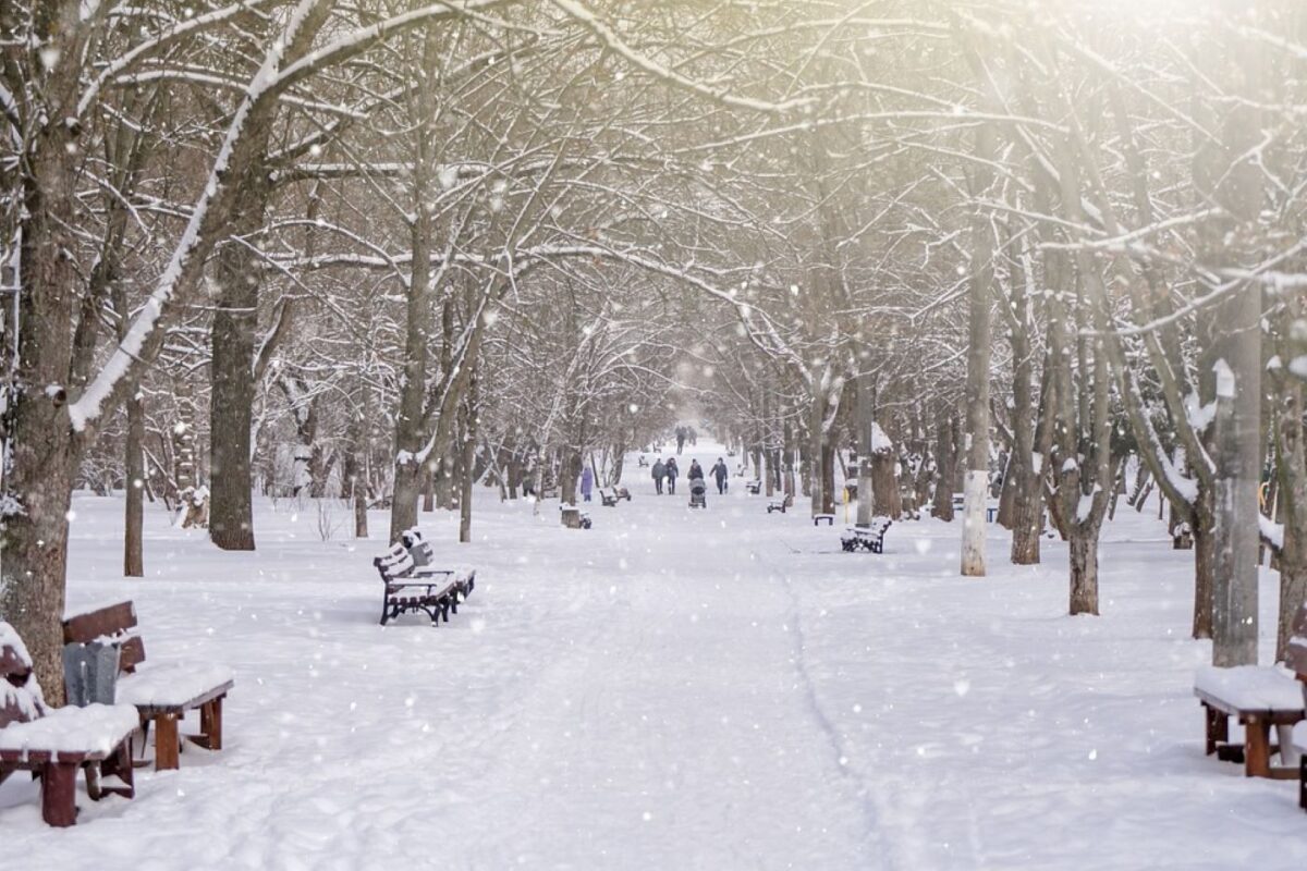 Prognoza meteo, 15 decembrie: Ninsori puternice și viscol. Zonele afectate de vânt și îngheț