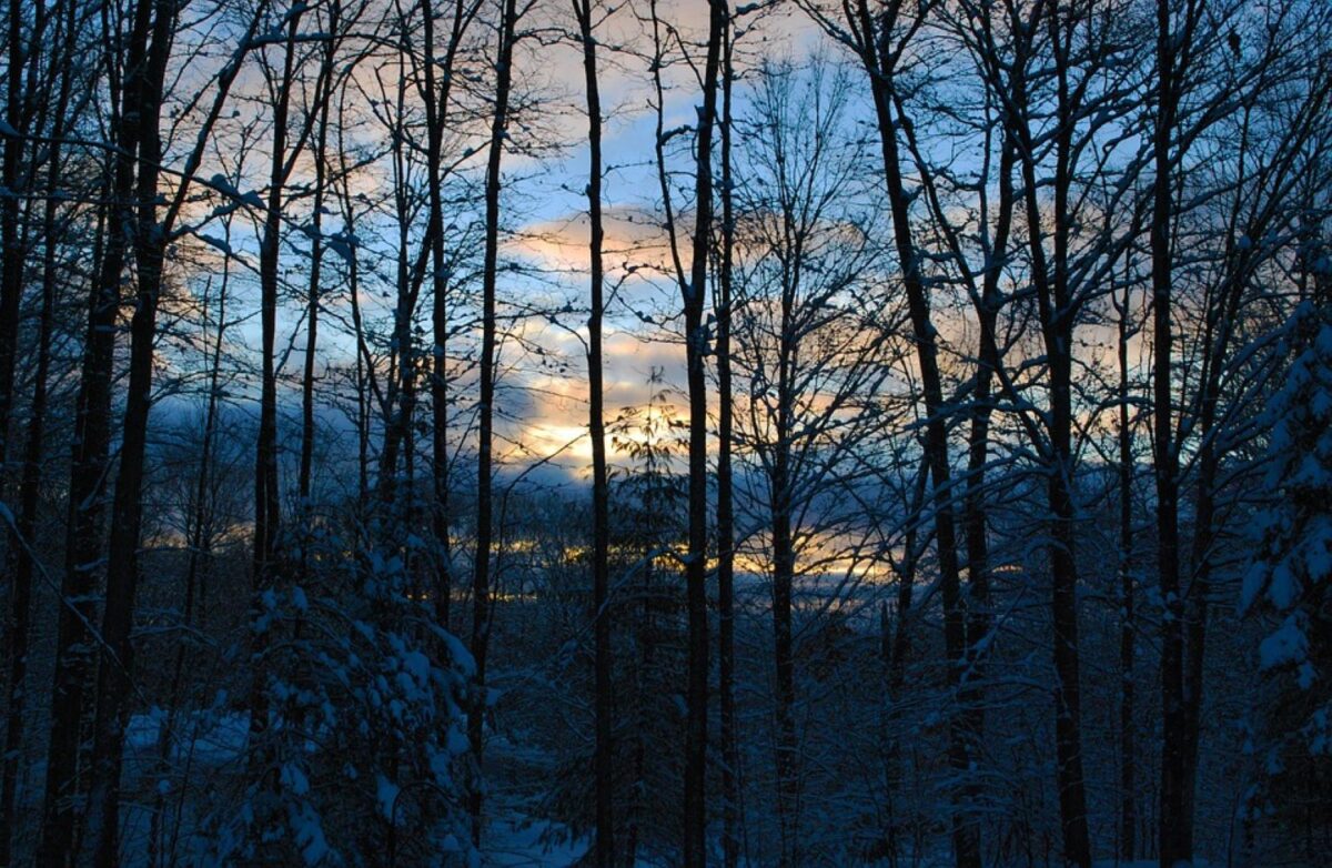 Prognoza meteo, 1 ianuarie. Prima zi a Anului Nou cu temperaturi neobișnuite