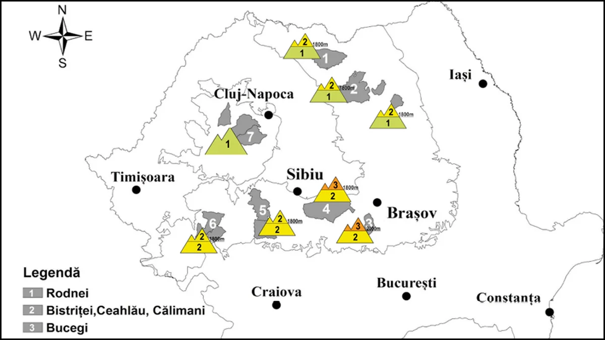 Risc de avalanșă