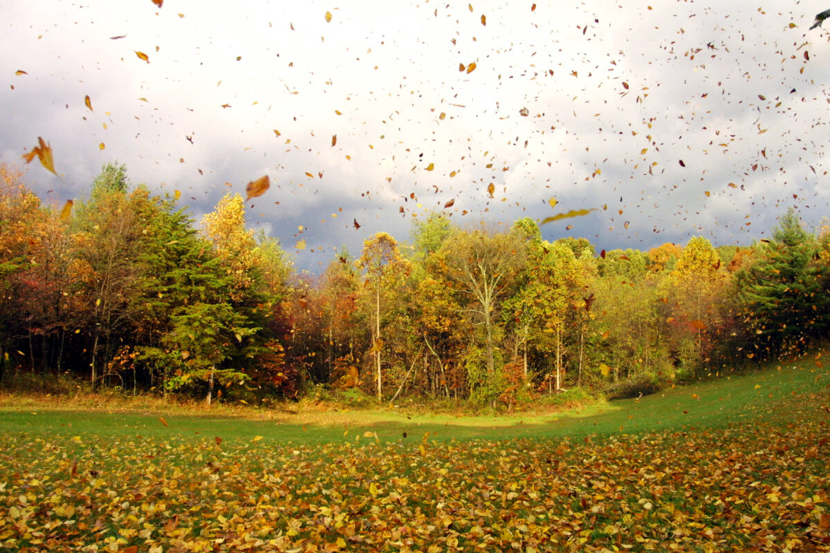 Prognoza meteo, 11 octombrie. Weekend cu vreme instabilă: ploi, rafale de vânt și ceață pe alocuri