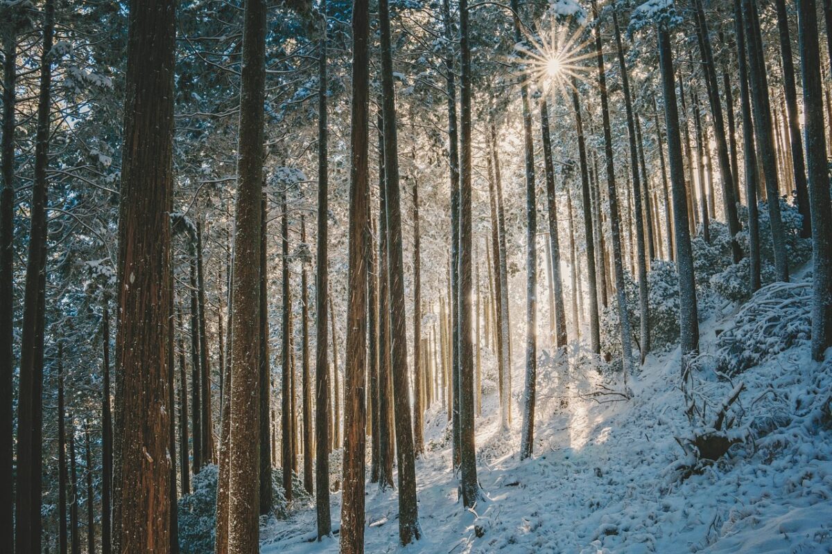 Prognoza meteo, 22 ianuarie. Temperaturi ieșite din zona normalului în toată țara