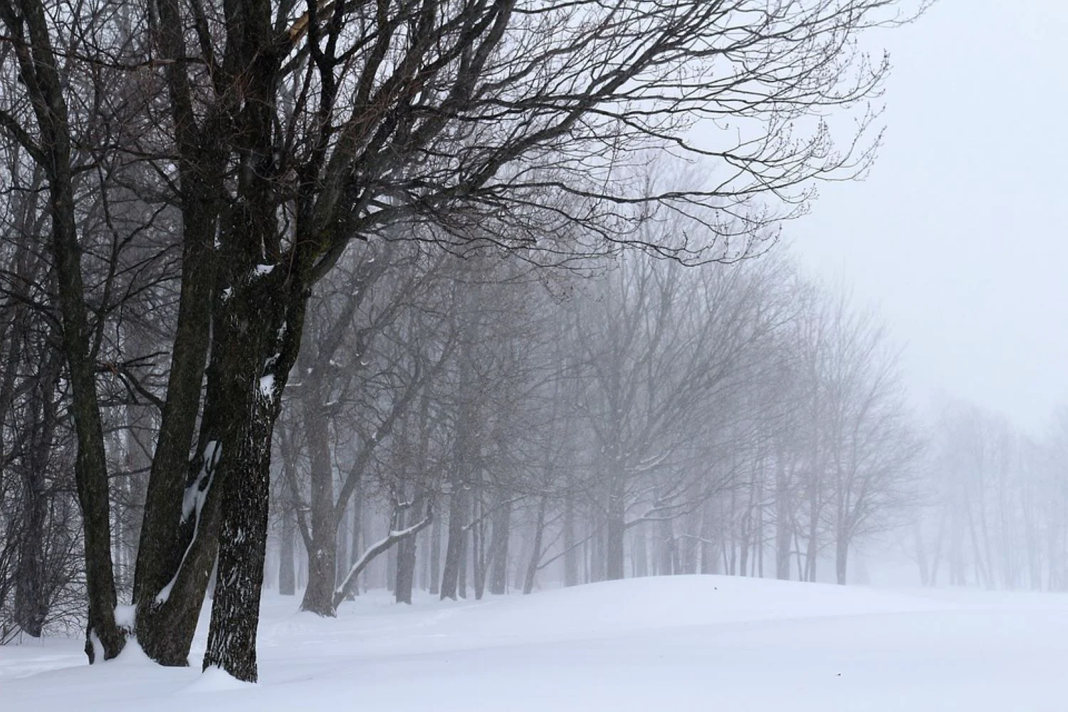 Prognoza meteo, 10 ianuarie. Situația se schimbă radical în toată țara, revin fenomenele extreme