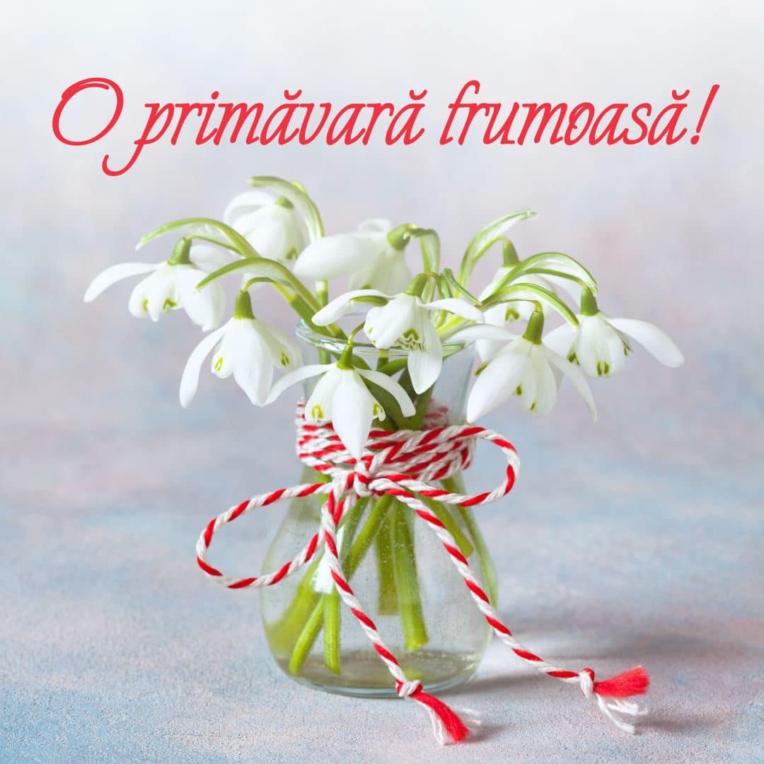 Marcel Ciolcau, mesaj de 1 Martie