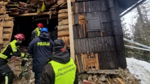 Bugetari de la direcțiile silvice, acuzați de corupție