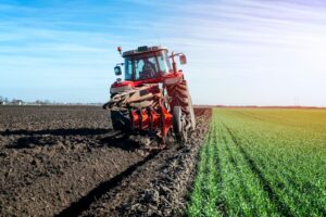 Valoarea producției agricole din România, mai mică cu 4,3% în 2024