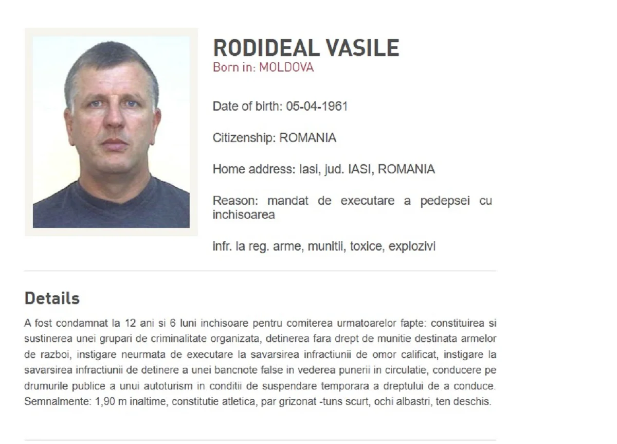 Vasile Rodideal