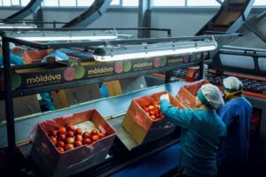 Acord intrat în vigoare. Antreprenorii moldoveni vor putea exporta în patru țări, fără taxe vamale