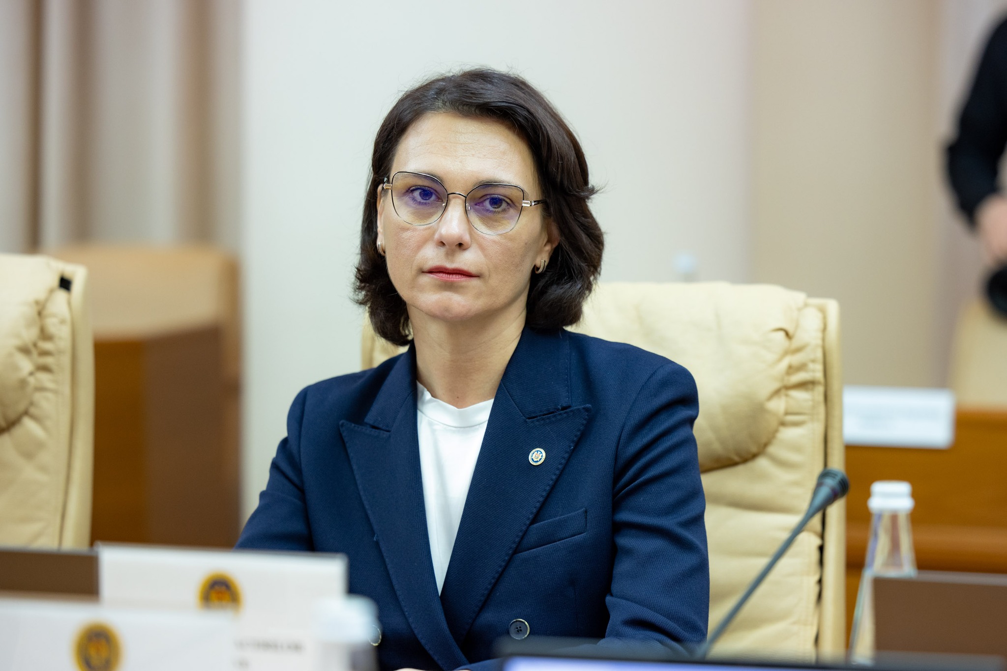 Ministra Afacerilor Interne, Daniella Misail-Nichitin