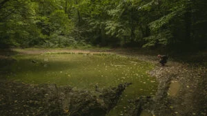 Locul de lângă București, unde s-au concentrat legende terifiante. Relatările te lasă fără cuvinte