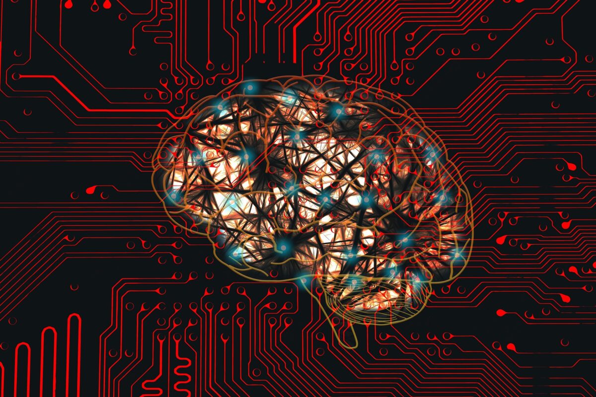 Cercetătorii au realizat prima hartă 3D completă a conexiunilor neuronale din creierul unui mamifer